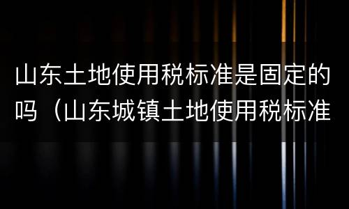 山东土地使用税标准是固定的吗（山东城镇土地使用税标准）