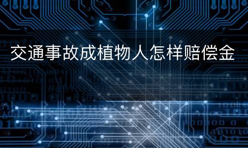 交通事故成植物人怎样赔偿金