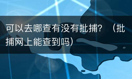 可以去哪查有没有批捕？（批捕网上能查到吗）