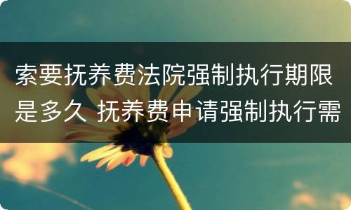 索要抚养费法院强制执行期限是多久 抚养费申请强制执行需要花钱吗?