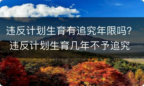 违反计划生育有追究年限吗？ 违反计划生育几年不予追究