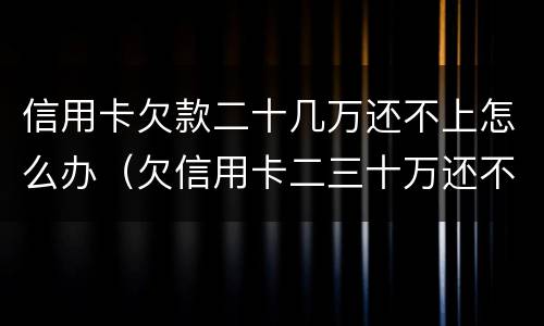 信用卡欠款二十几万还不上怎么办（欠信用卡二三十万还不起怎么办）