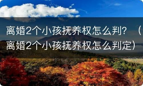 离婚2个小孩抚养权怎么判？（离婚2个小孩抚养权怎么判定）