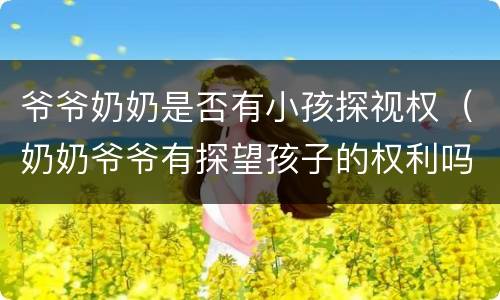 爷爷奶奶是否有小孩探视权（奶奶爷爷有探望孩子的权利吗）