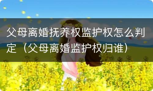 父母离婚抚养权监护权怎么判定（父母离婚监护权归谁）