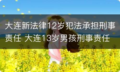 大连新法律12岁犯法承担刑事责任 大连13岁男孩刑事责任