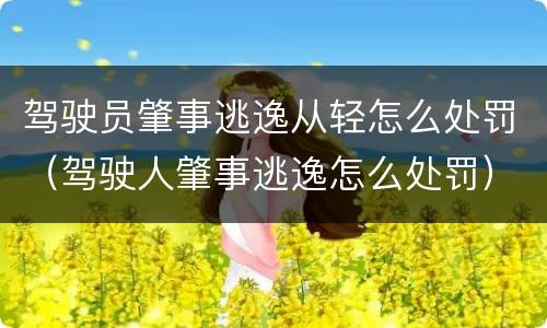驾驶员肇事逃逸从轻怎么处罚（驾驶人肇事逃逸怎么处罚）