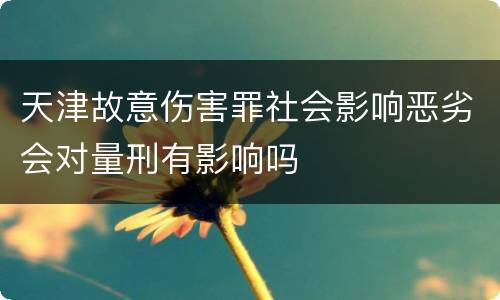 天津故意伤害罪社会影响恶劣会对量刑有影响吗