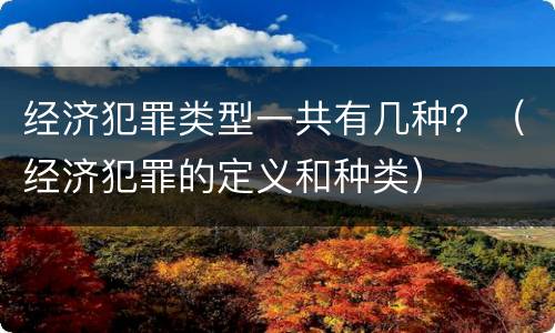 经济犯罪类型一共有几种？（经济犯罪的定义和种类）