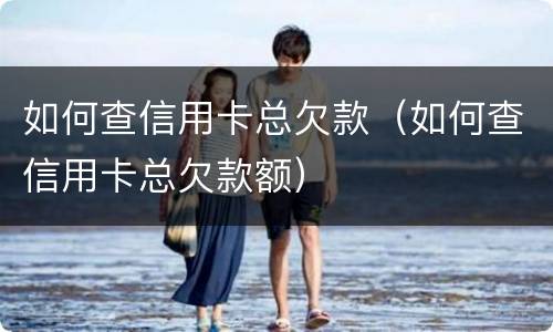 如何查信用卡总欠款（如何查信用卡总欠款额）