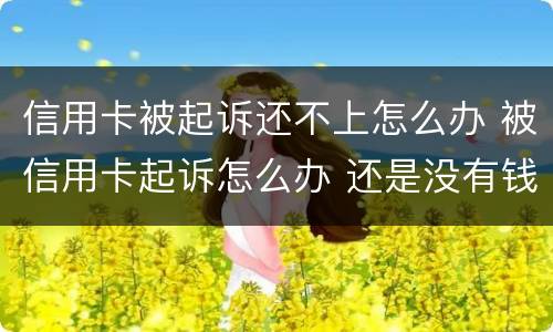 信用卡被起诉还不上怎么办 被信用卡起诉怎么办 还是没有钱还