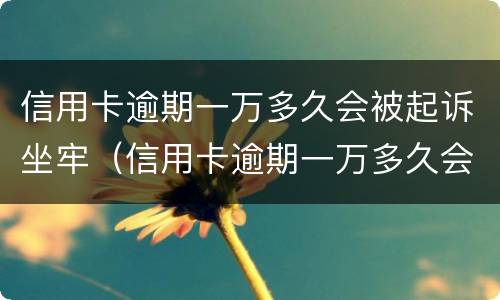 信用卡逾期一万多久会被起诉坐牢（信用卡逾期一万多久会被起诉坐牢呢）