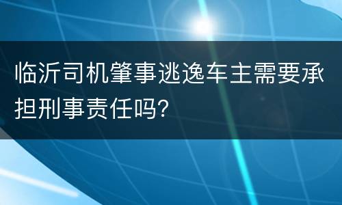 临沂司机肇事逃逸车主需要承担刑事责任吗？