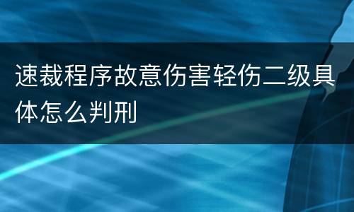 速裁程序故意伤害轻伤二级具体怎么判刑