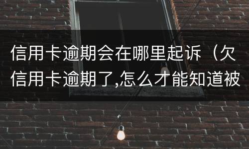 信用卡逾期会在哪里起诉（欠信用卡逾期了,怎么才能知道被起诉了）