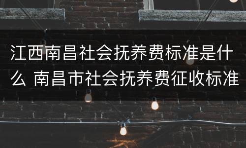 江西南昌社会抚养费标准是什么 南昌市社会抚养费征收标准