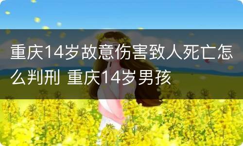 重庆14岁故意伤害致人死亡怎么判刑 重庆14岁男孩
