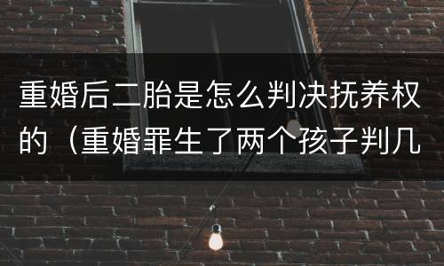 重婚后二胎是怎么判决抚养权的（重婚罪生了两个孩子判几年）