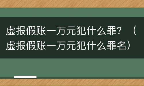 虚报假账一万元犯什么罪？（虚报假账一万元犯什么罪名）