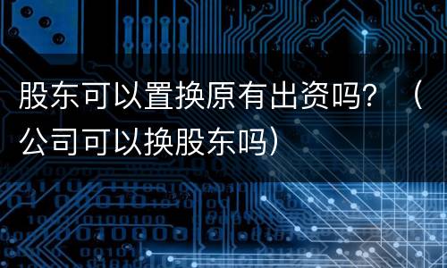 股东可以置换原有出资吗？（公司可以换股东吗）