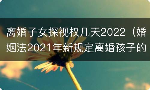 离婚子女探视权几天2022（婚姻法2021年新规定离婚孩子的探视权）