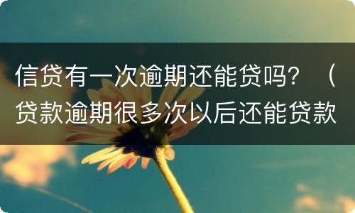 信贷有一次逾期还能贷吗？（贷款逾期很多次以后还能贷款吗）