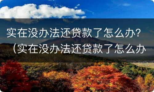 实在没办法还贷款了怎么办？（实在没办法还贷款了怎么办）
