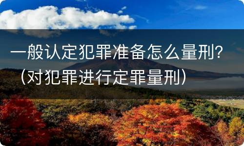 一般认定犯罪准备怎么量刑？（对犯罪进行定罪量刑）