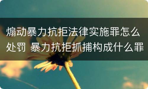 煽动暴力抗拒法律实施罪怎么处罚 暴力抗拒抓捕构成什么罪