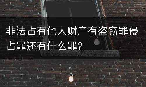 非法占有他人财产有盗窃罪侵占罪还有什么罪？