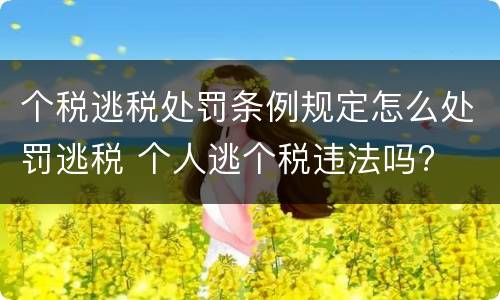 个税逃税处罚条例规定怎么处罚逃税 个人逃个税违法吗?