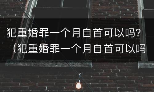 犯重婚罪一个月自首可以吗？（犯重婚罪一个月自首可以吗判几年）