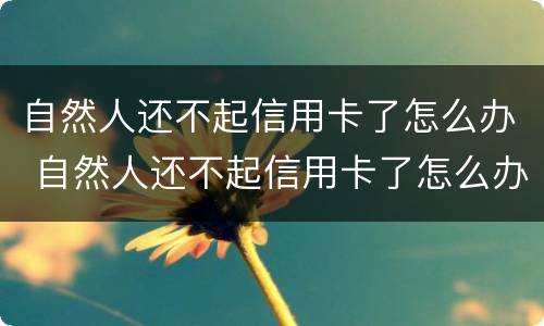 自然人还不起信用卡了怎么办 自然人还不起信用卡了怎么办理