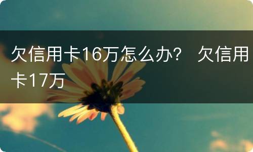 欠信用卡16万怎么办？ 欠信用卡17万