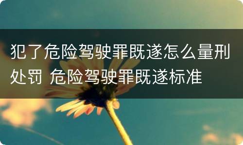 犯了危险驾驶罪既遂怎么量刑处罚 危险驾驶罪既遂标准