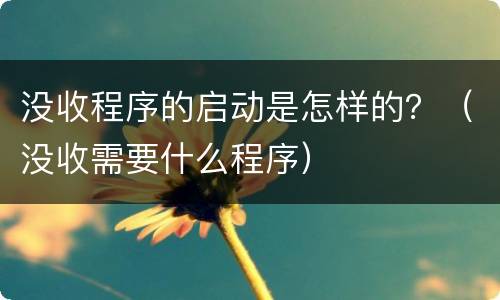 没收程序的启动是怎样的？（没收需要什么程序）