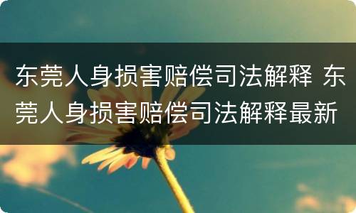 东莞人身损害赔偿司法解释 东莞人身损害赔偿司法解释最新