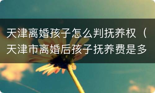 天津离婚孩子怎么判抚养权（天津市离婚后孩子抚养费是多少）