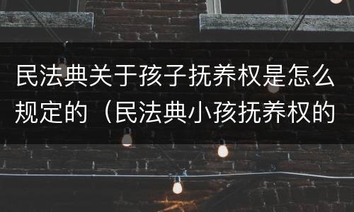 民法典关于孩子抚养权是怎么规定的（民法典小孩抚养权的判定标准）