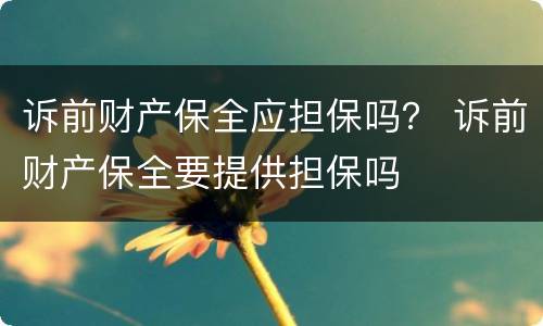 诉前财产保全应担保吗？ 诉前财产保全要提供担保吗