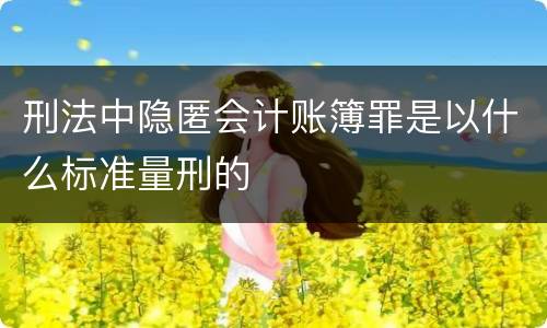 刑法中隐匿会计账簿罪是以什么标准量刑的