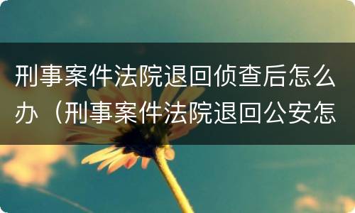 刑事案件法院退回侦查后怎么办（刑事案件法院退回公安怎么处理）