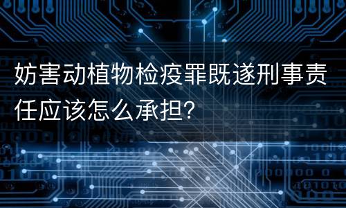 妨害动植物检疫罪既遂刑事责任应该怎么承担？