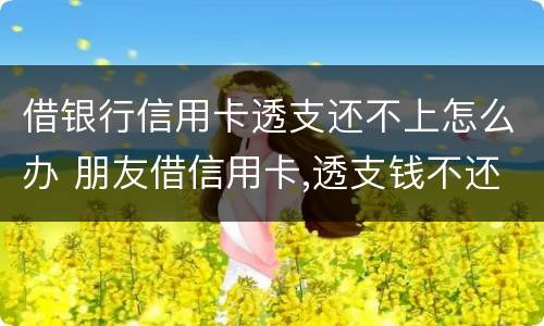 借银行信用卡透支还不上怎么办 朋友借信用卡,透支钱不还,应该怎么办?