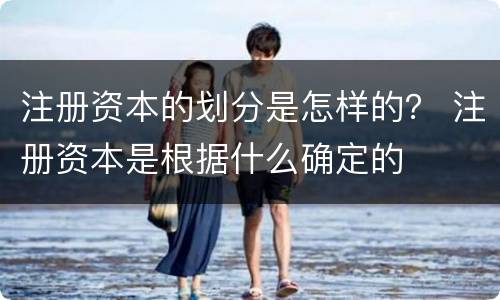 注册资本的划分是怎样的？ 注册资本是根据什么确定的