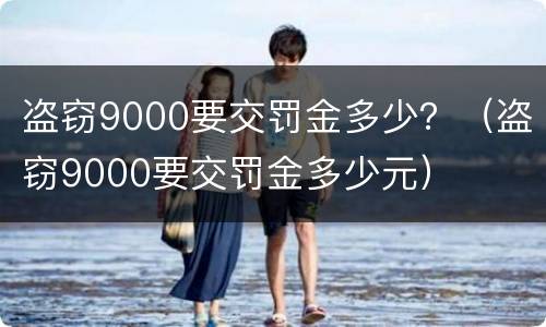 盗窃9000要交罚金多少？（盗窃9000要交罚金多少元）