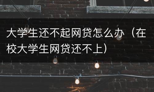 大学生还不起网贷怎么办（在校大学生网贷还不上）