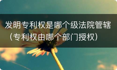 发明专利权是哪个级法院管辖（专利权由哪个部门授权）