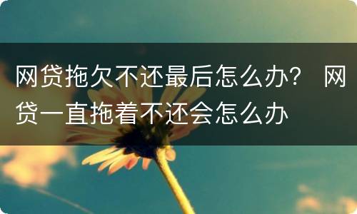 网贷拖欠不还最后怎么办？ 网贷一直拖着不还会怎么办