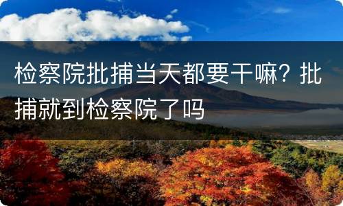 检察院批捕当天都要干嘛? 批捕就到检察院了吗